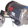 Marathon Motors 3/4 HP Hazardous Location Motor,Capacitor-Start,3450 Nameplate RPM,115/208-230 Voltage,Frame 56 - 056C34G15517